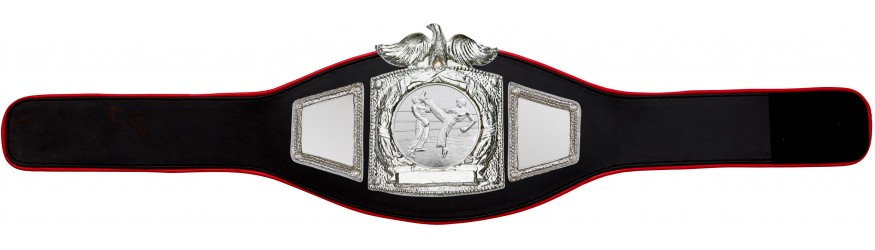 PROEAGLE KICKBOXING CHAMPIONSHIP BELT - PROEAGLE/S/KBOS - AVAILABLE IN 6+ COLOURS